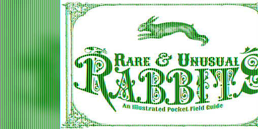 Cover image for Rare and Unusual Rabbits