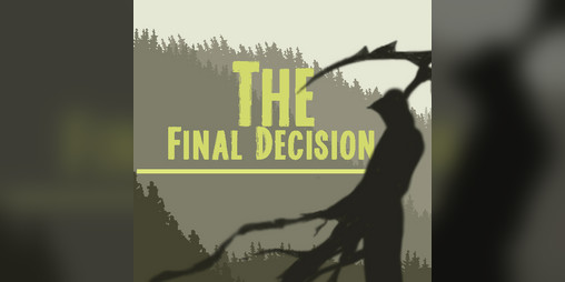 Cover image for THE FINAL DECISION