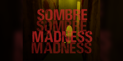 Cover image for SOMBRE MADNESS