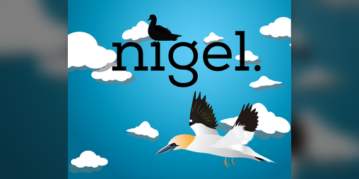 Cover image for Nigel