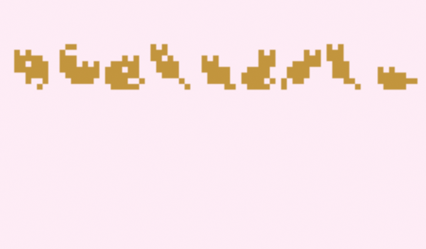 Cover image for six day old kitten