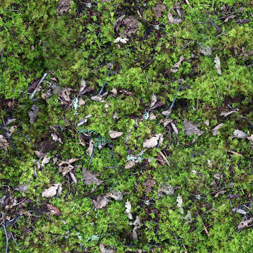 forest floor texture seamless