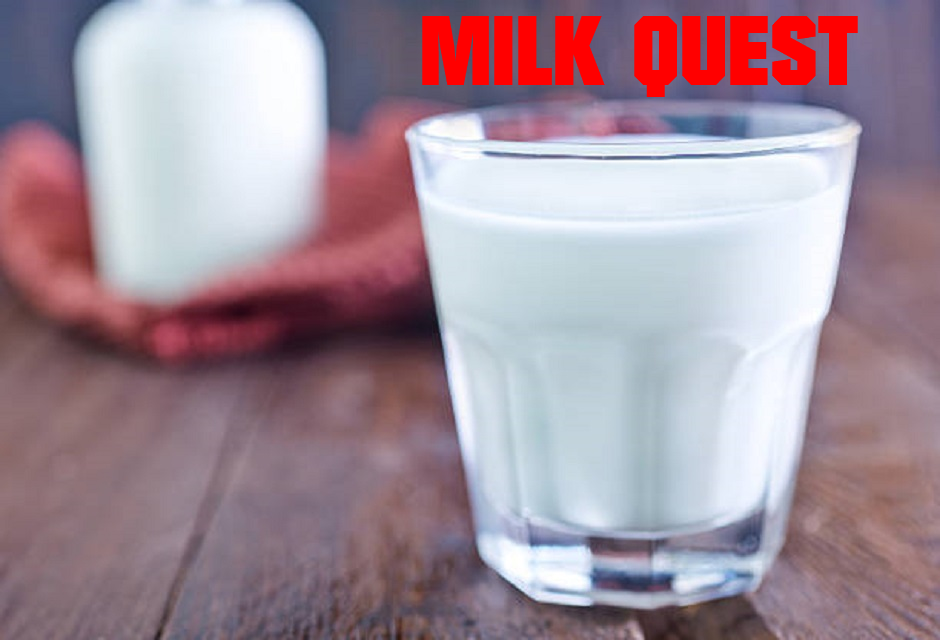 Cover image for Milk Quest
