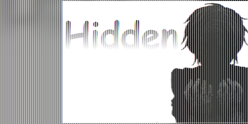 Cover image for Hidden