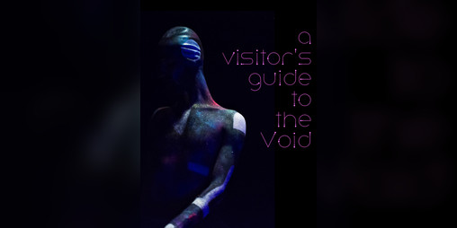 Cover image for A Visitor's Guide to the Void