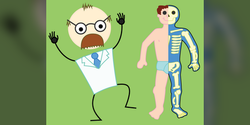 Cover image for Dr Bones