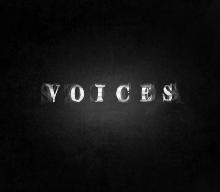 Voices cover