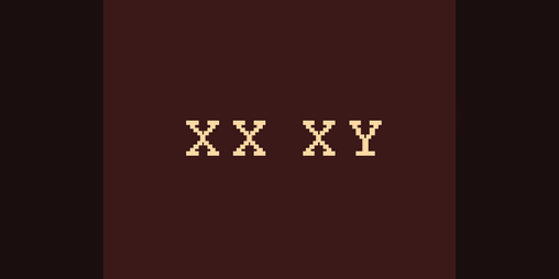 Cover image for XX XY