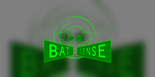 Cover image for BAT SENSE