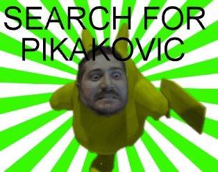 Cover image for The Search For Pikakovic