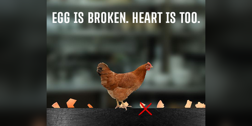Cover image for [DEMO] egg is broken. heart is too.