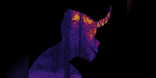 Cover image for Camping