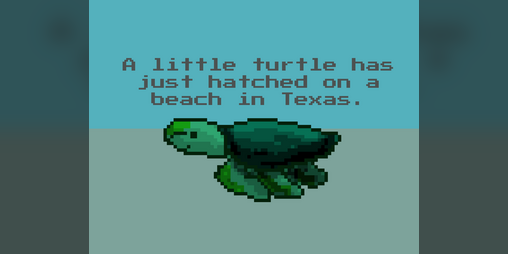 Cover image for A little turtle has just hatched on a beach in Texas.