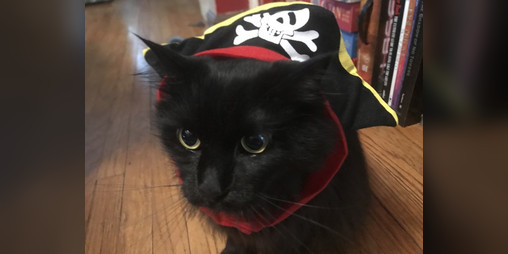 Cover image for Spooky's Treasure Hunt