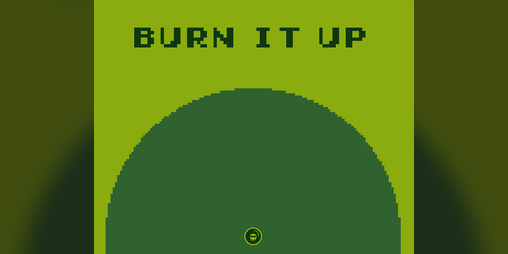 Cover image for Burn It Up