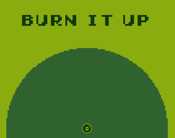Cover image for Burn It Up