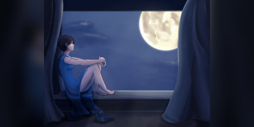 Cover image for Curtained Moon