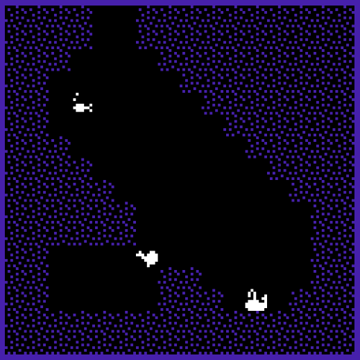 Cover image for Whales