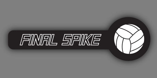 Cover image for Final Spike