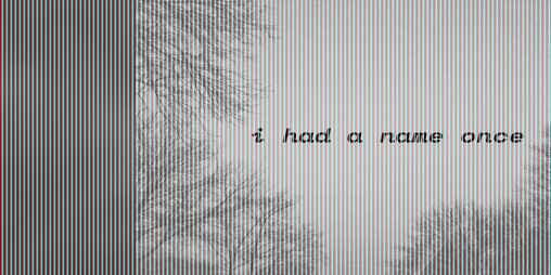 Cover image for i had a name once