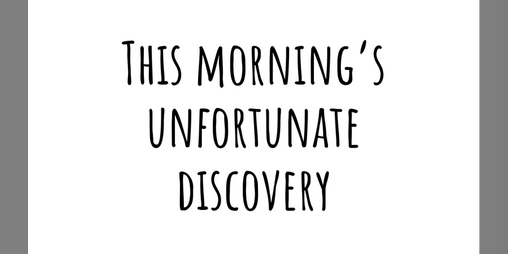 Cover image for This Morning's Unfortunate Discovery