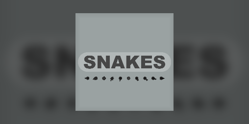 Cover image for Snakes