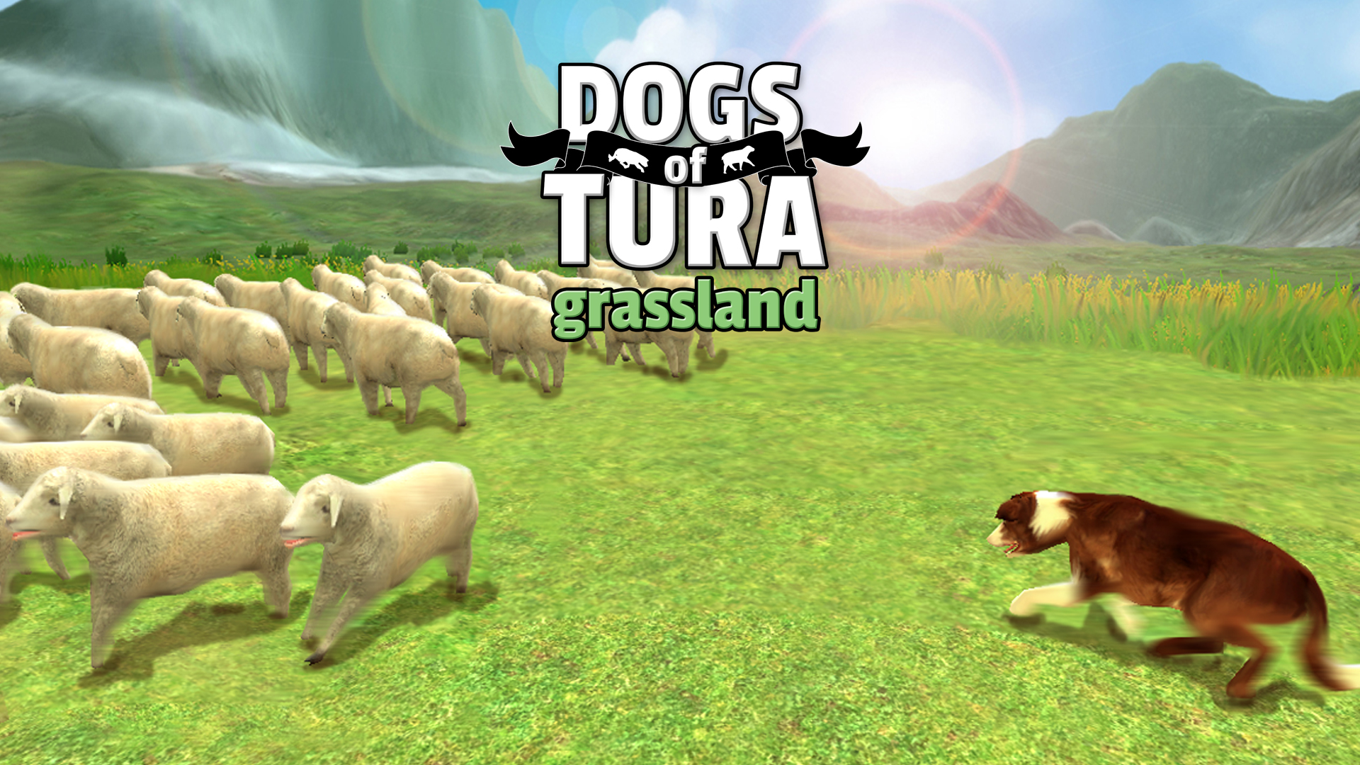 DOGS of TURA