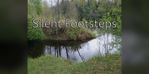 Cover image for Silent Footsteps