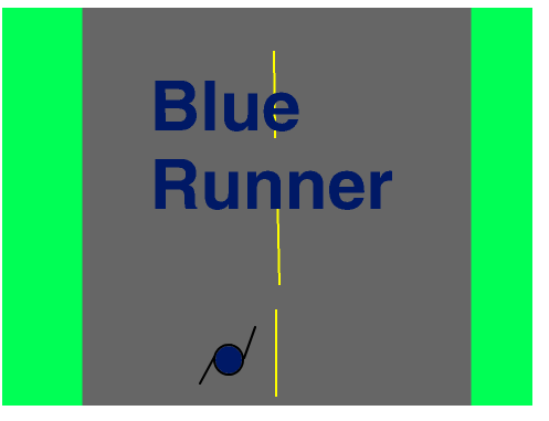 Cover image for Blue Runner