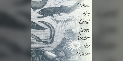 Cover image for When the Land Goes Under the Water