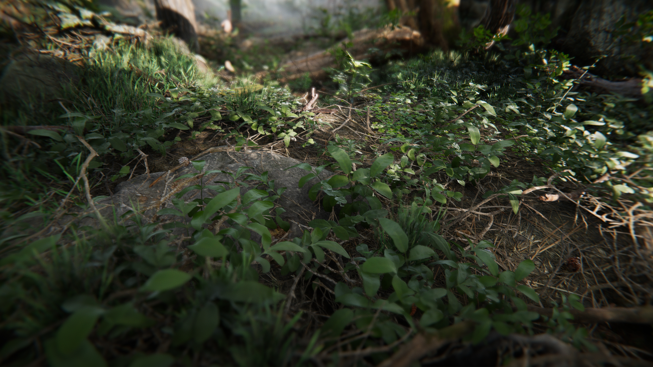 Book Of The Dead: Environment