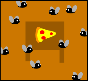 Cover image for Fly Swater