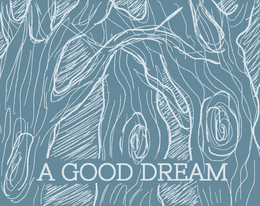 Cover image for A GOOD DREAM