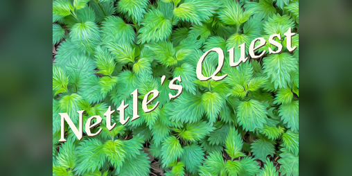 Cover image for Nettle's Quest