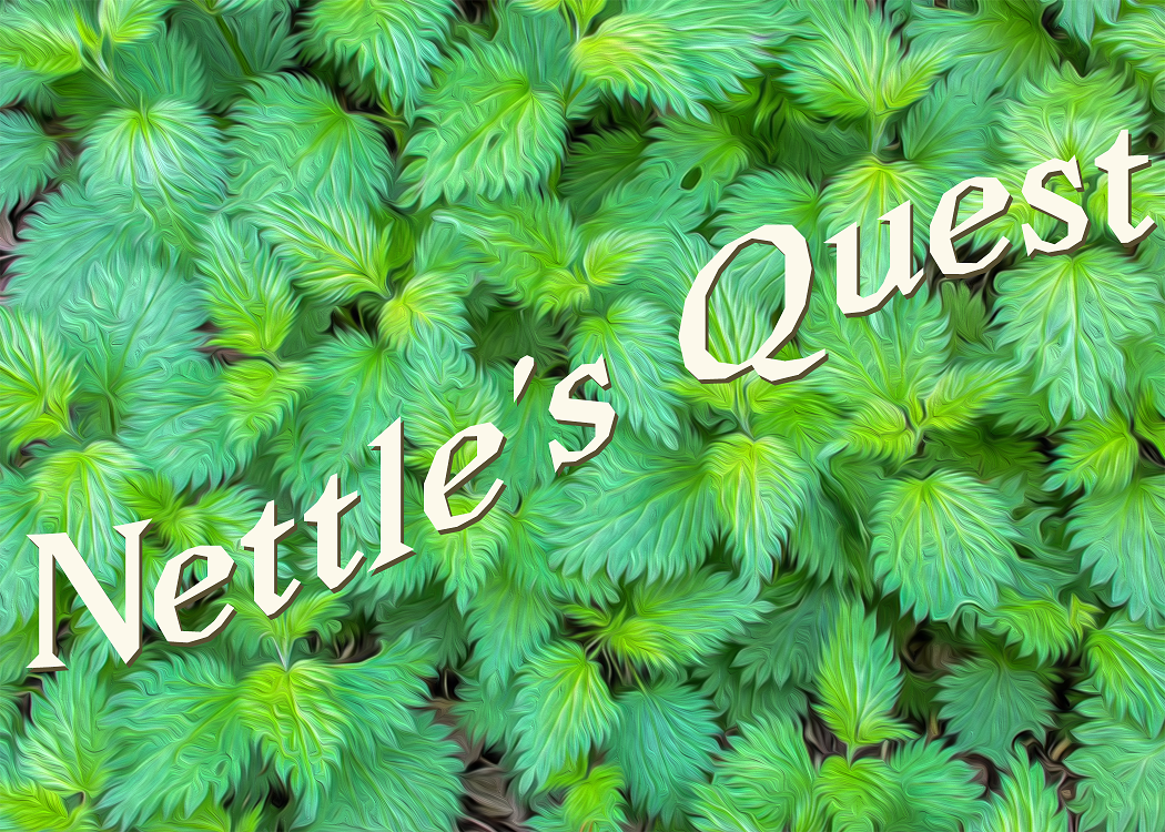 Cover image for Nettle's Quest