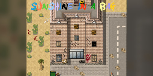 Cover image for Sunshine In A Bag