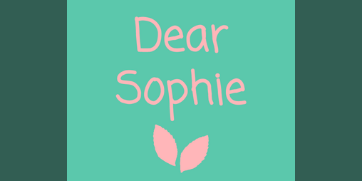 Cover image for Dear Sophie