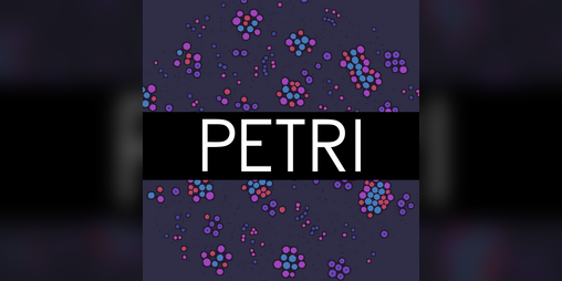 Cover image for PETRI