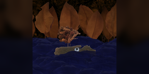 Cover image for yozhek