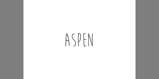 Cover image for ASPEN