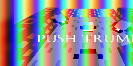 Cover image for Push Trump