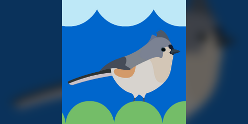 Cover image for Stupid Bird