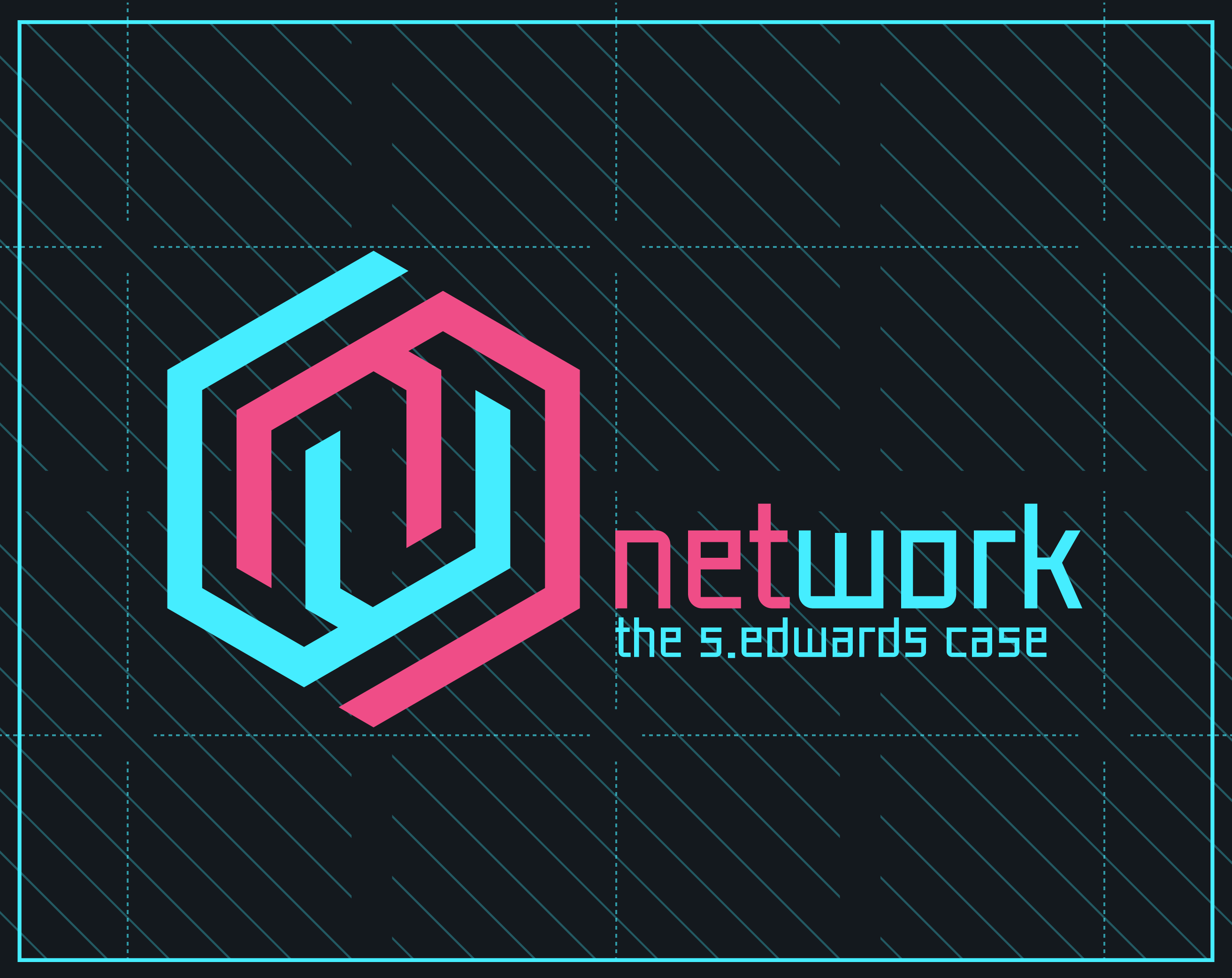 Cover image for Network : The S.Edwards Case