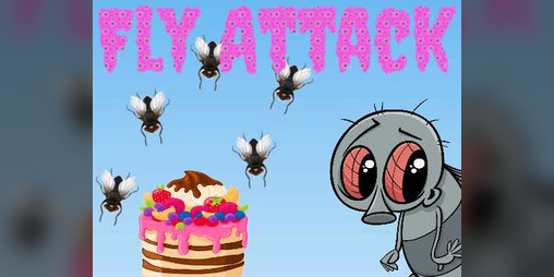 Cover image for Fly Attack