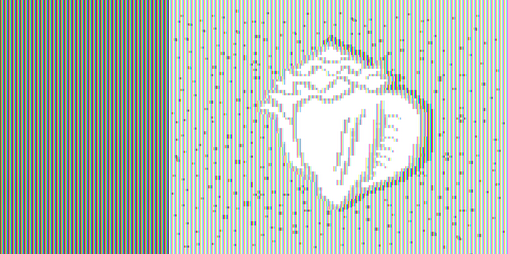Cover image for Conches and Cameras