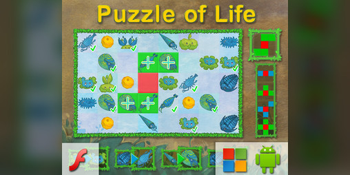 Cover image for Puzzle Of Life