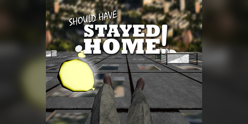Cover image for Should have Stayed Home!