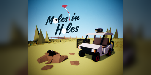 Cover image for Moles in Holes