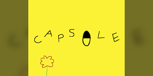 Cover image for Capsule