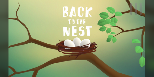 Cover image for Back To The Nest